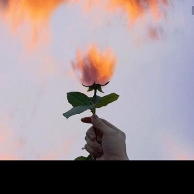 Profile Picture of Luz Sáez Anahi (@LuzSezAnahi1) on Twitter