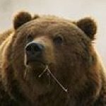 Profile Picture of Michael Rhea (@michael_rhea2) on Instagram