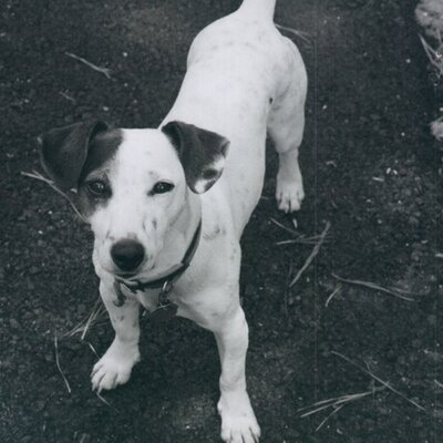 Captainfun - Twitter Profile Picture of Captainfun (@JamesMarotta721) on Twitter