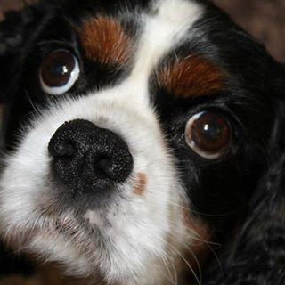 Graham Jolly - Facebook Profile Picture of Graham Jolly (@graham.jolly.10) on Facebook