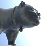 Alexander Ibañez - Instagram Profile Picture of Alexander Ibañez (@alexander__iba) on Instagram