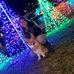 Profile Picture of Samantha Shade (@samantha.shade.92) on Facebook