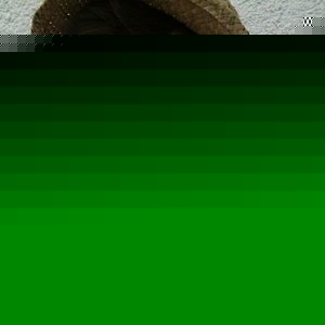 Profile Picture of Daniel Hartlieb (@danielhartlieb) on Myspace