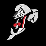 Profile Picture of Frankston Football Club (@frankstonfootballclub) on Instagram