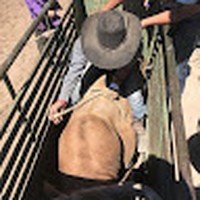 Profile Picture of Cody Paul (@cody-paul-45) on Quora