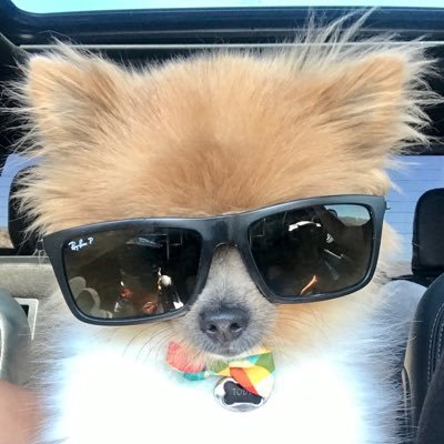 Profile Picture of Michael Sandoval (@MikeIsidro88) on Twitter