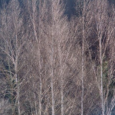 Profile Picture of Leanne Hogan (@LeanneHogan7) on Twitter