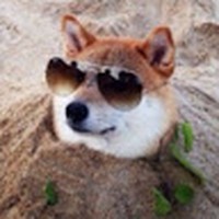 Profile Picture of Alexander Moen Afont (@alexander-moen-afont) on Quora