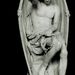 Profile Picture of Zachary Solberg (@solbergz) on Pinterest