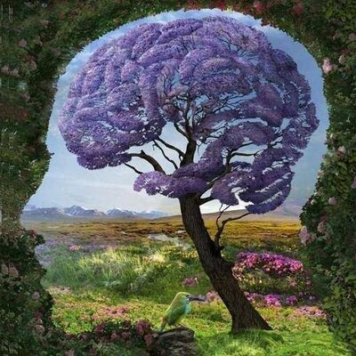 Profile Picture of 吴艾伦，中国宪政民主党 (@AllenWoo845) on Twitter