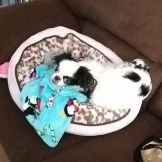 Profile Picture of Bobbie Arndt (@bobbie.arndt.7) on Facebook