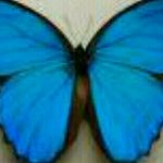 Profile Picture of Stephanie Vannech (@stephanievannech) on Instagram