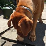 Cooper Moore - Instagram Profile Picture of Cooper Moore (@cooper._.moore) on Instagram