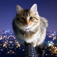 Profile Picture of Kerry Ann Gobin (@kerry-ann-gobin) on Quora