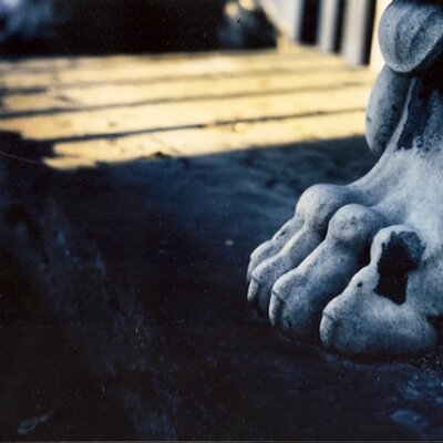 Profile Picture of Jann Matlock (@autopsiesgroup) on Twitter