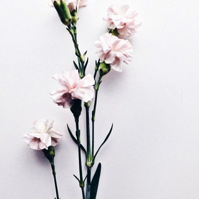 Profile Picture of Tyer Jacobs (@TylerChilton27) on Twitter