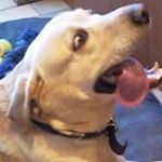 Debbie Saxon - Instagram Profile Picture of Debbie Saxon (@debbiesaxon) on Instagram