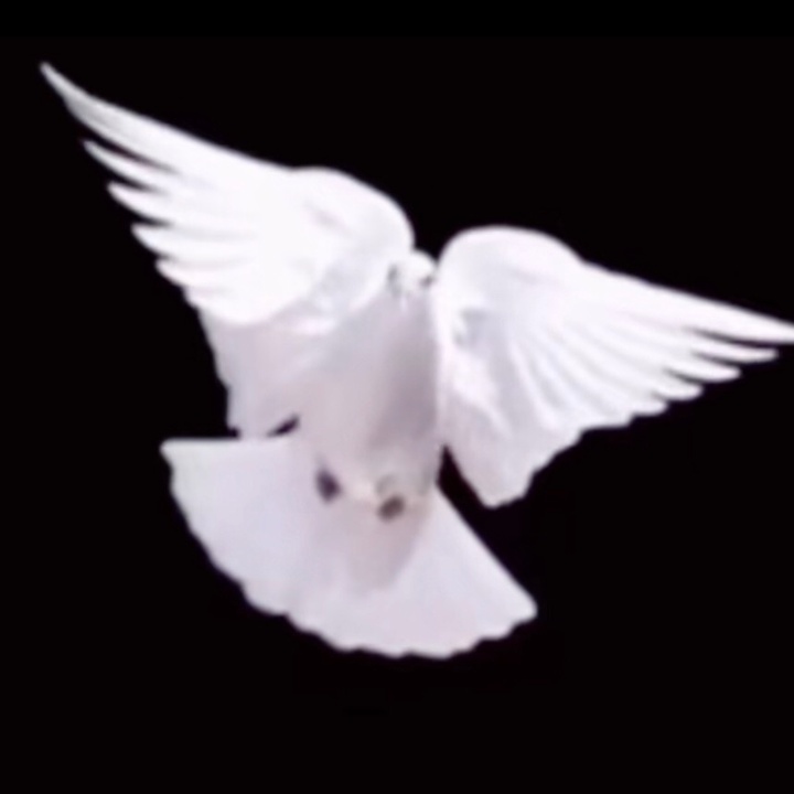 Profile Picture of Борис Бердыев (@boris_berdyev) on Tiktok