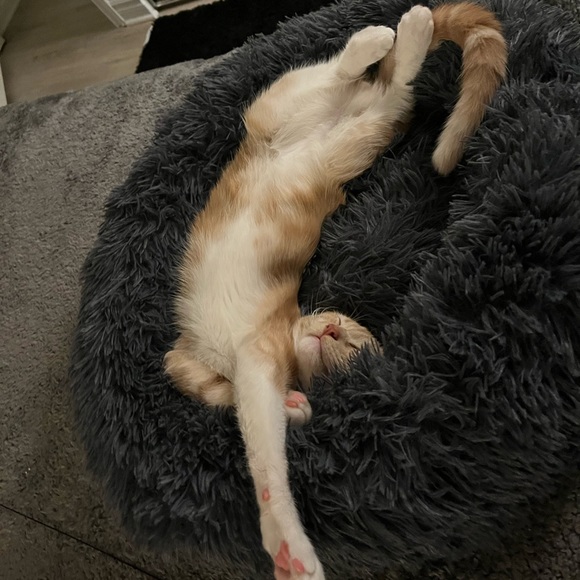 Profile Picture of Meena Najian (@meenanajian) on Poshmark