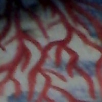 Profile Picture of Miracle Let Gang Aaron (@miracle-let-gang-aaron) on Quora