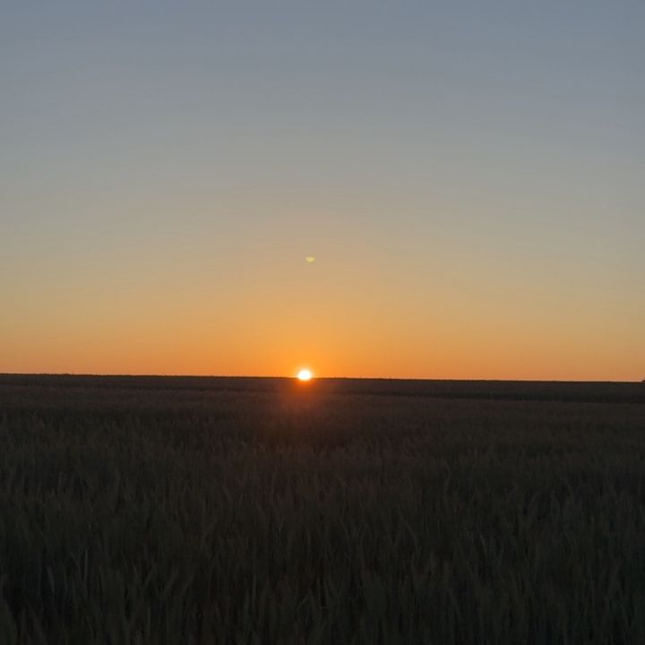 Profile Picture of evie.tolley14 (@evie.tolley14) on Tiktok