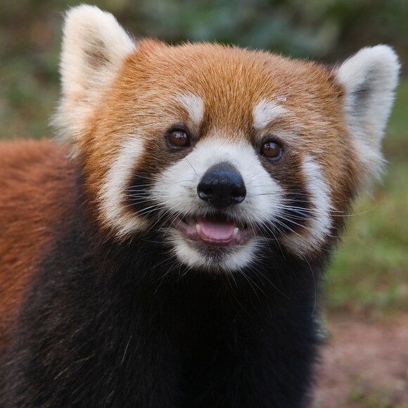 Profile Picture of Juanita Thorsted (@cloudy_dayzz) on Poshmark