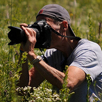 Profile Picture of DC Taylor (@DC Taylor) on Flickr