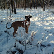 Profile Picture of Helen Larsen (@helenlarsen4813) on Youtube