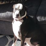 Profile Picture of Shawn Clayton (@shawn_clayton9) on Instagram