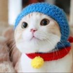 Profile Picture of Michiko  Higashi (@michiko.higashi.52) on Instagram