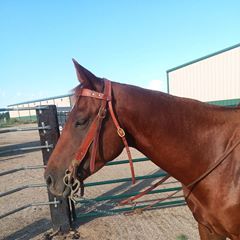 Profile Picture of Darren Kinney (@darrenkinney) on Tiktok