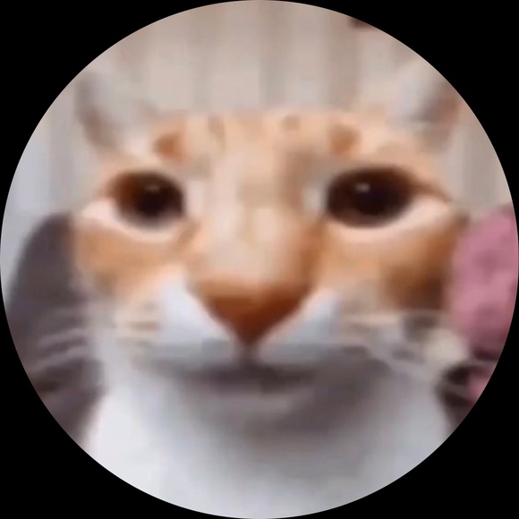 Profile Picture of Ash Faubert (@dawgeater69) on Poshmark