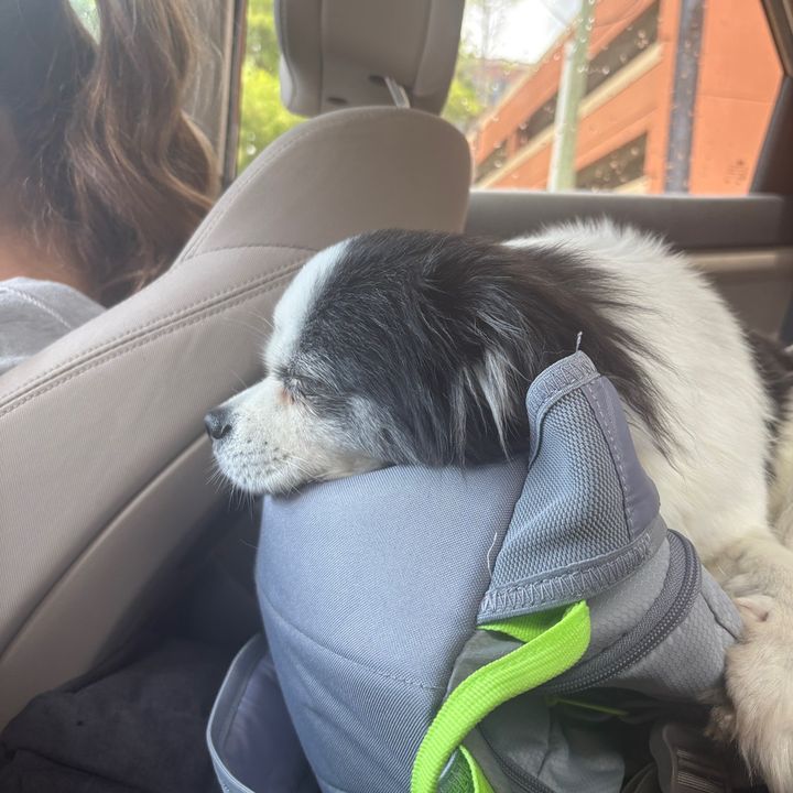 Profile Picture of Alberth (@a1berth1) on Tiktok