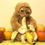 Profile Picture of Todd Kohl Koehler (@gravemistake666) on Instagram