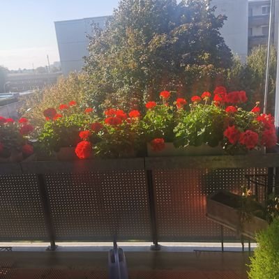 Profile Picture of Paul Bieri (@PaulBieri2) on Twitter