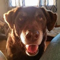 Profile Picture of Brad Welker (@brad-welker-3) on Quora