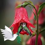 Profile Picture of Debra Gillette (@debra.gillette.58) on Facebook