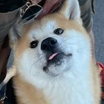 Profile Picture of Aaron (@aronitoquebonito) on Instagram