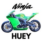 Profile Picture of Hugo Walters (@ninja_huey) on Instagram