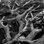 Chasity Fox - Instagram Profile Picture of Chasity Fox (@chasitykfox) on Instagram