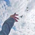 Profile Picture of Trisha Lay (@Trisha-Lay) on Facebook