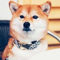 Profile Picture of norock (@bernardbendel) on Tiktok