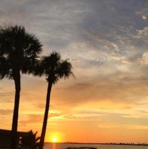 Profile Picture of Aziza Araj (@9229) on Poshmark