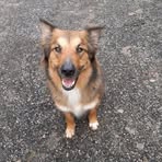 Profile Picture of Jeannette Barre (@Jeannette-Barre) on Facebook