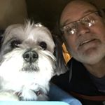 Profile Picture of Brad Huggins (@colbysdad) on Instagram