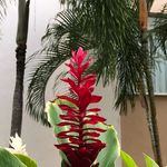 Profile Picture of Trisha Dee (@trisha.dee11) on Instagram