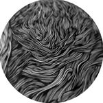 Profile Picture of David Sauceda (@davsauceda) on Instagram
