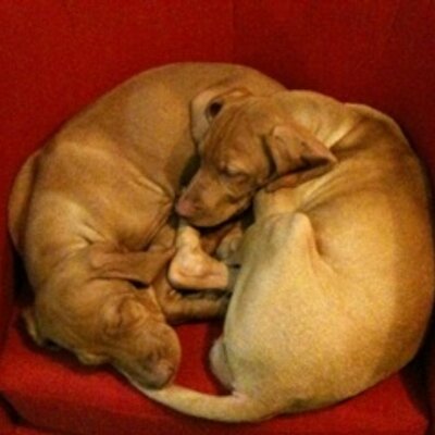 Profile Picture of Avondale Nursery (@@Avondale_Brian) on Twitter