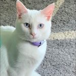 Profile Picture of Barb Maxey Rudolph (@maxeyrudolph) on Instagram