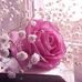Profile Picture of Layla Rashed (@layla.rashed.9) on Facebook